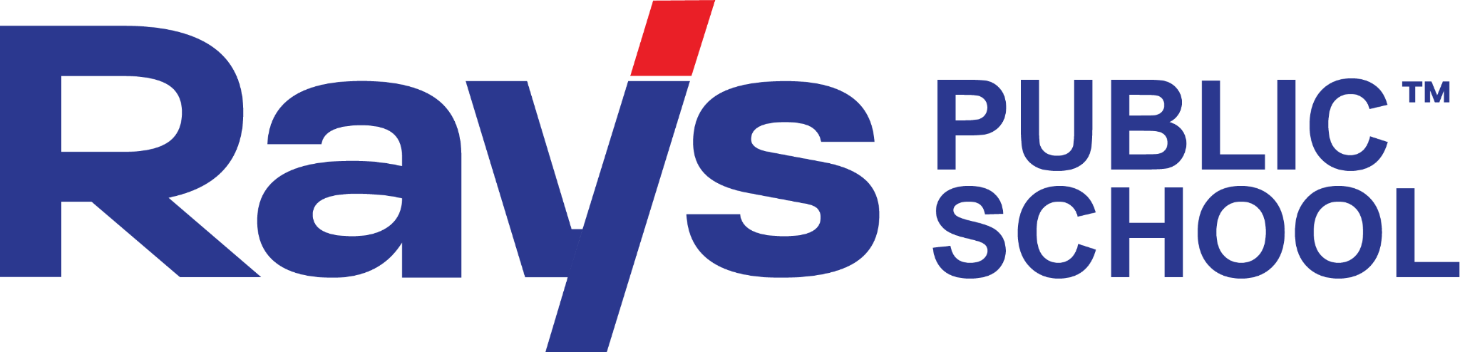 Rays Public School